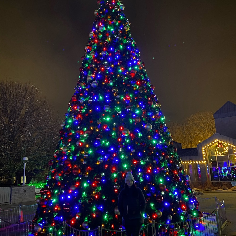 Meet your Posher, Vita